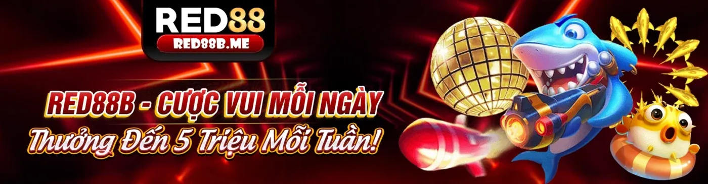 Tổng quan về chính sách bảo mật dữ liệu của LVS788